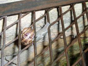 photo coins arrondis